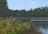 DSC07319.jpg